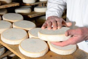 méthodes affineur fromage