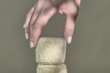fromage de chèvre de savoie