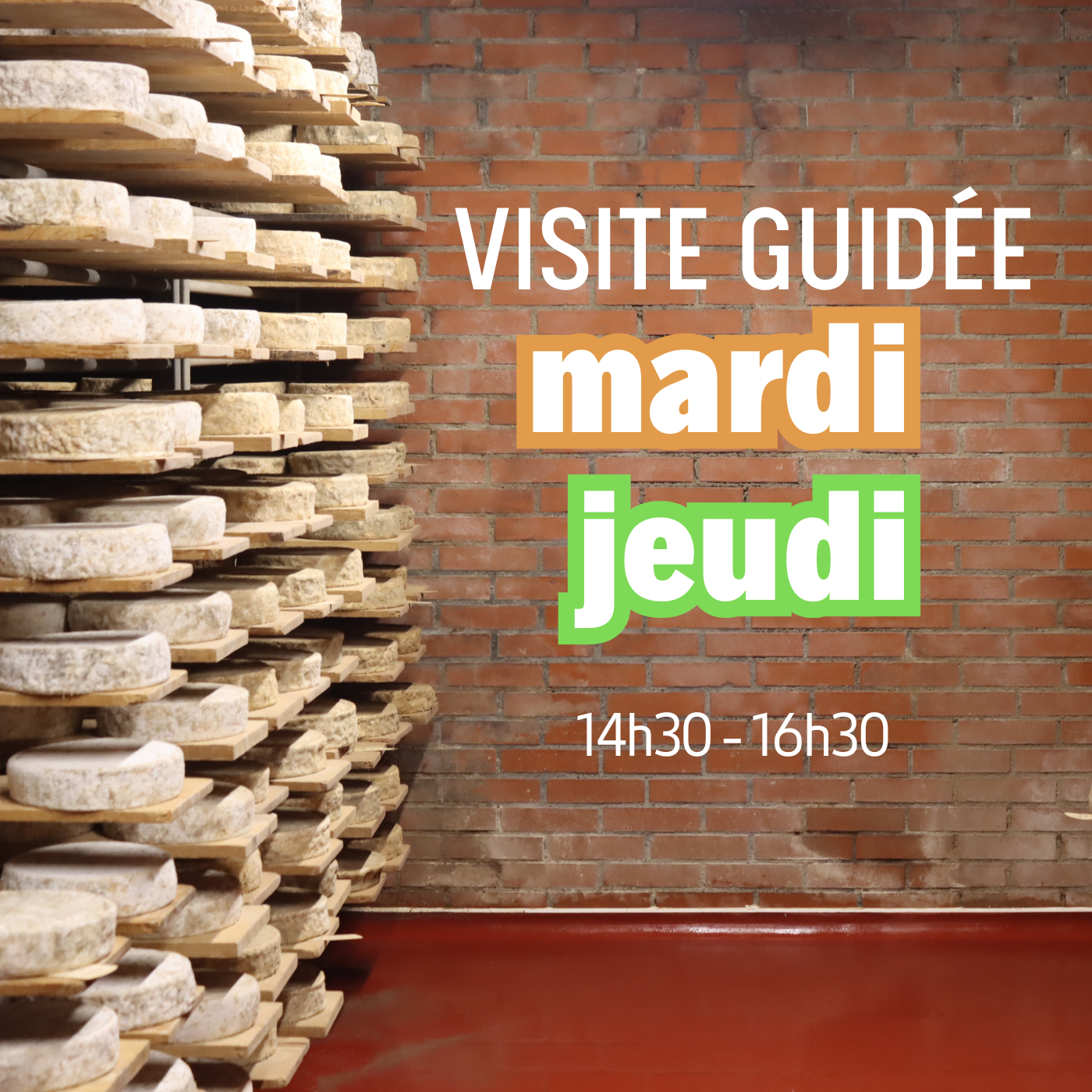 Visite des caves
