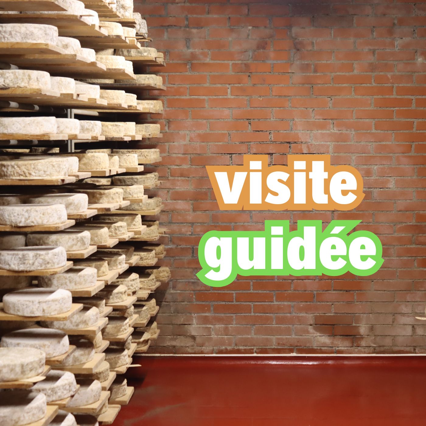 Visite des caves.