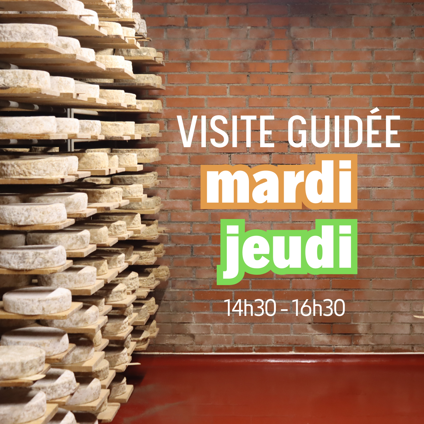 Visite des caves