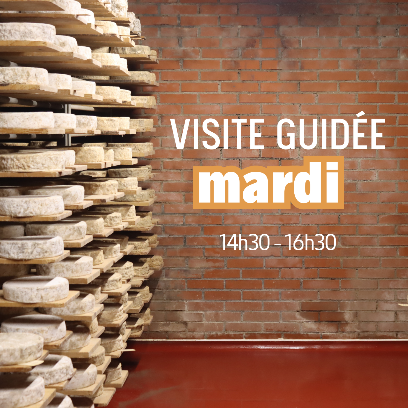 Visite caves 08/09