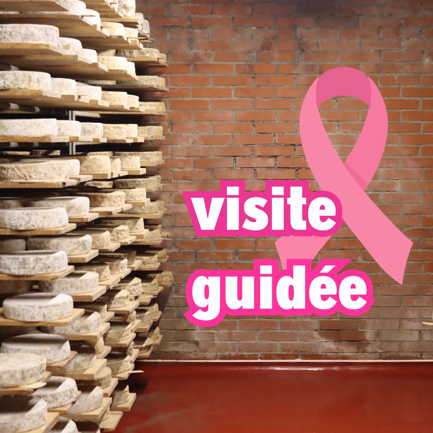 Visite caves 22/10
