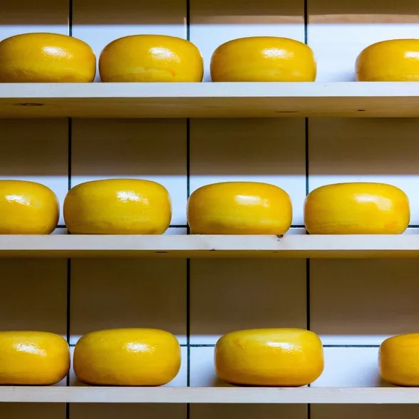 fromage moins salé gouda