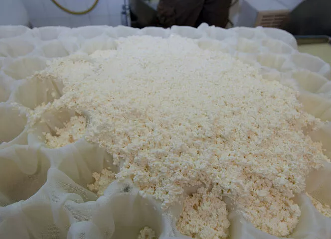 fromage chèvre Le Persillé des Aravis