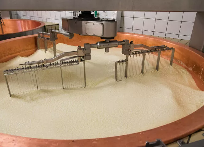 fromages au lait cru