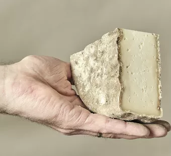 fromage tome des bauges