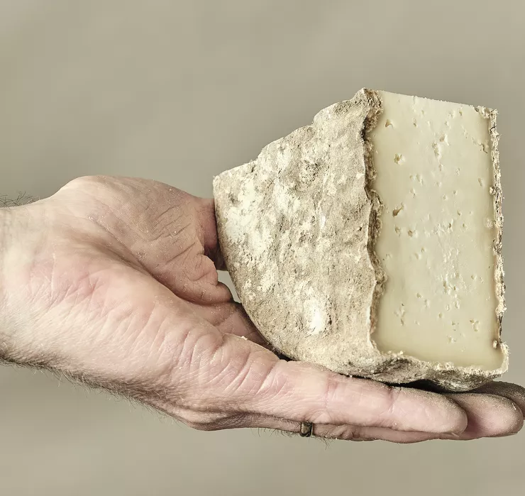 fromage tome des bauges