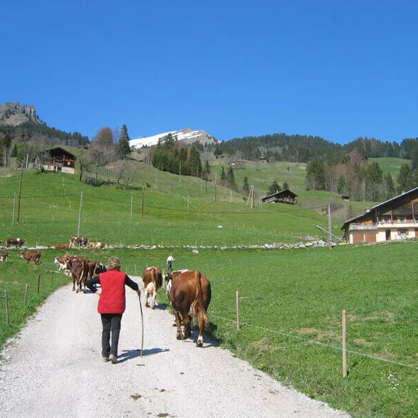 alpage de Savoie