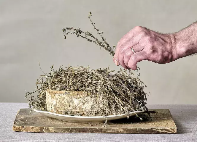 fromage tome des bauges