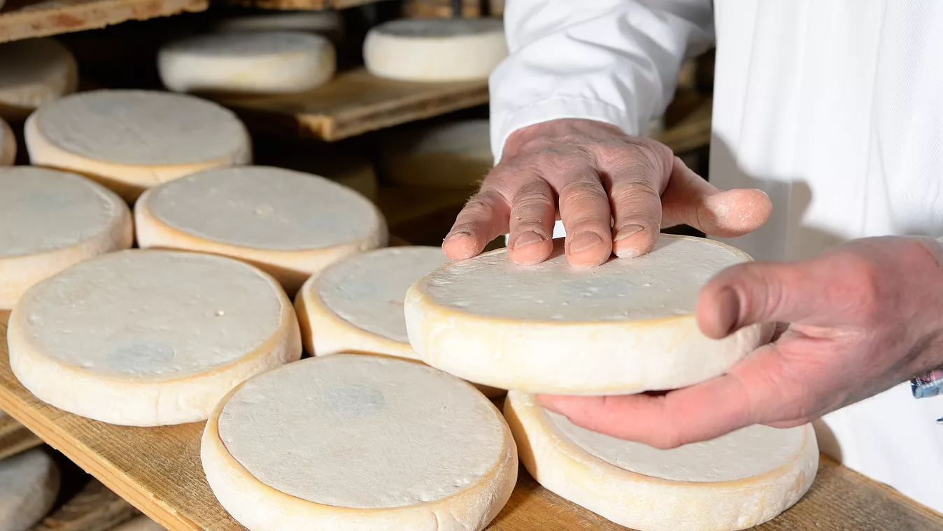 terroir fromage savoyard