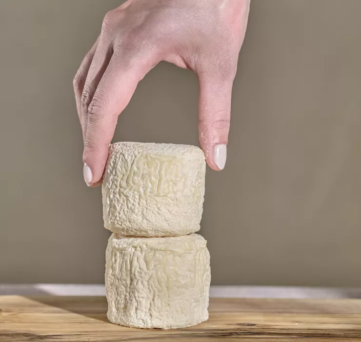 fromage de chevre savoie