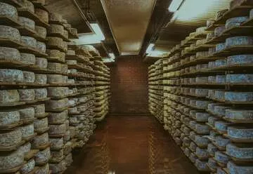 achat fromage de savoie producteur