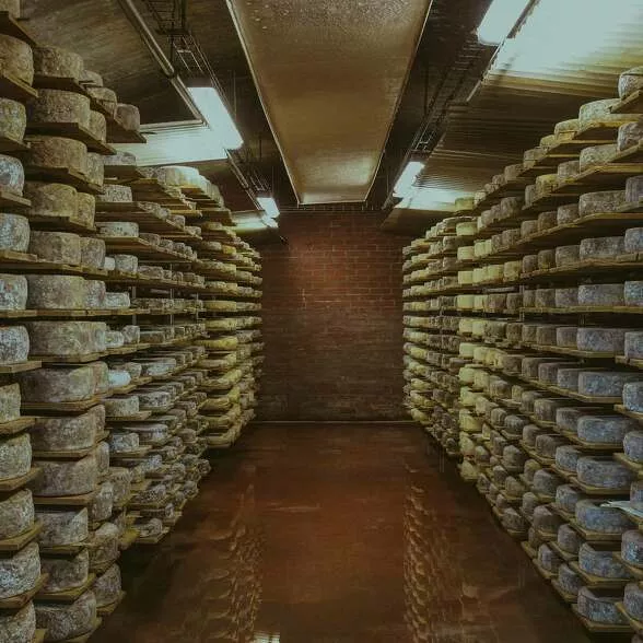 achat fromage de savoie producteur