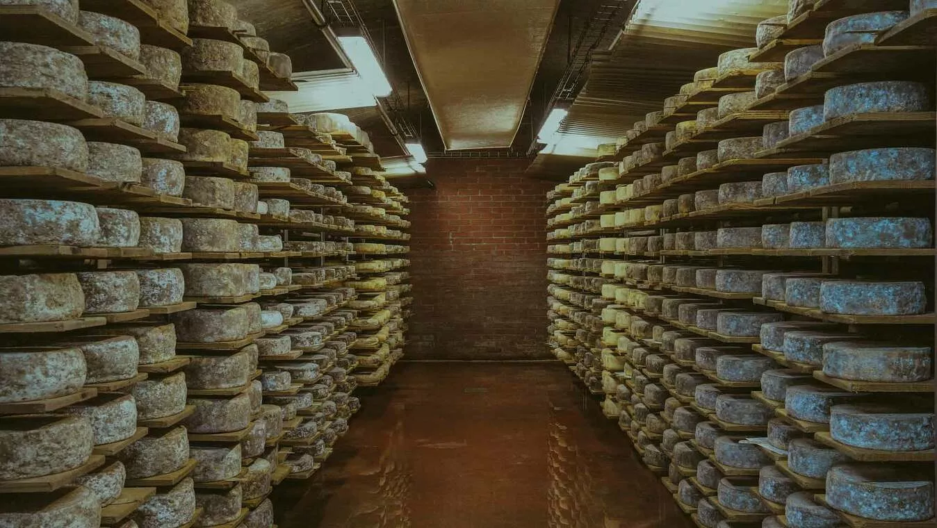 achat fromage de savoie producteur