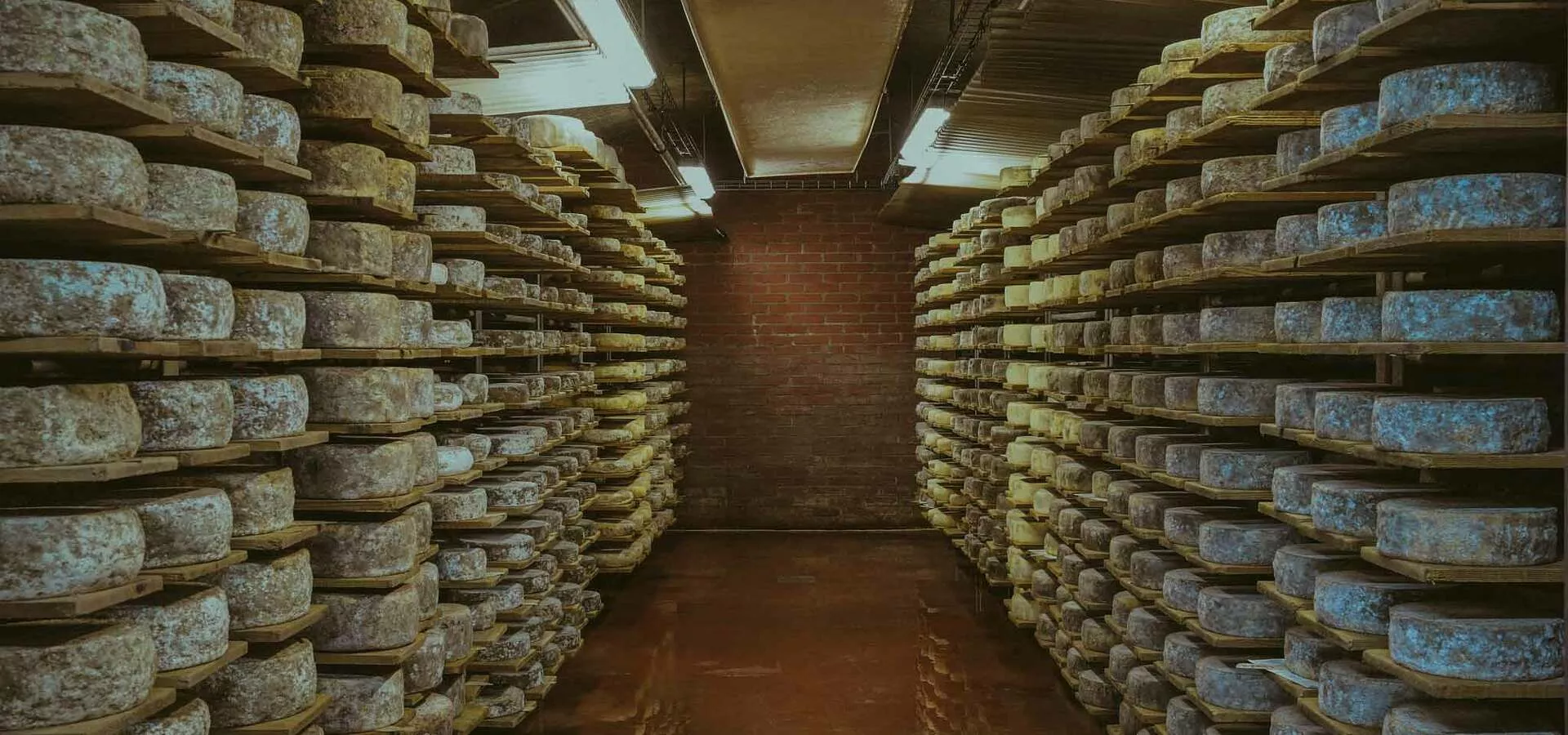 achat fromage de savoie producteur