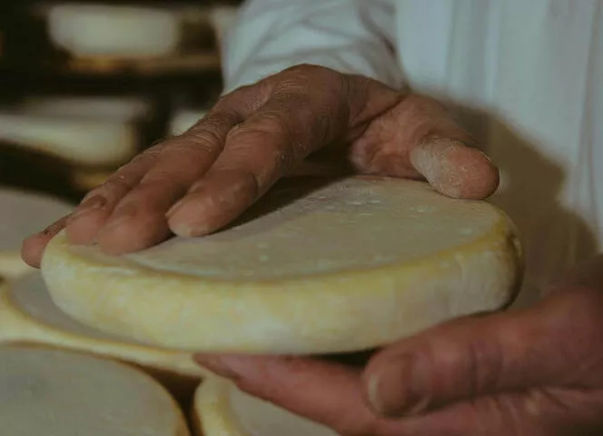 étapes affinage fromage