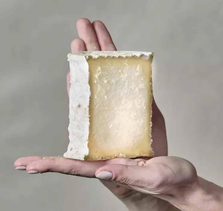 fromages de chèvre fermier