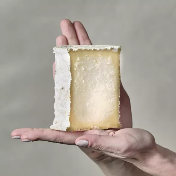 fromages de chèvre fermier