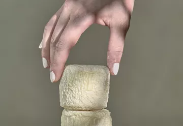 fromage de chèvre de savoie