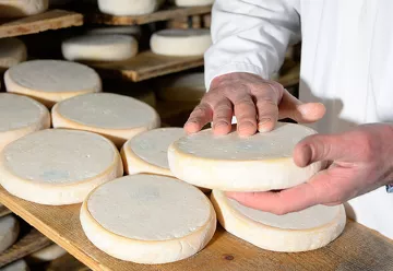 affineur de fromage paccard
