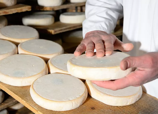 affineur de fromage paccard
