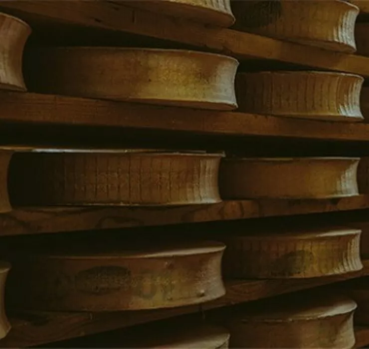 Abondance fromage Paccard