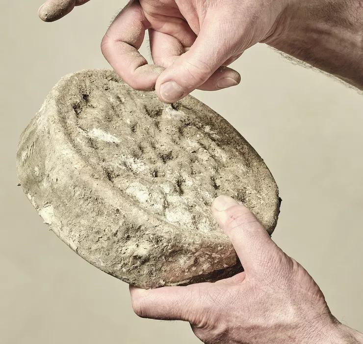 affinage fromage tome des bauges