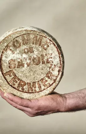 fromage tomme de savoie