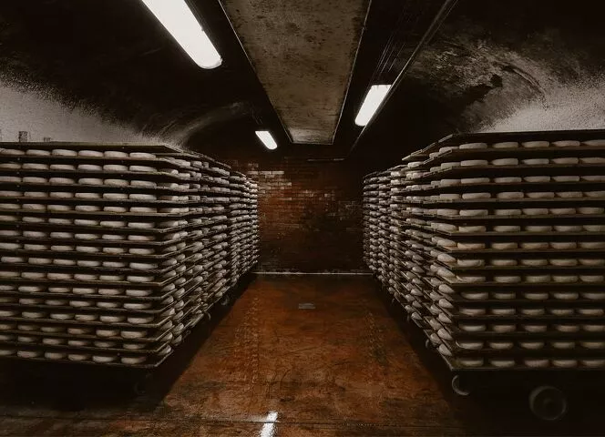visite cave d'affinage savoie