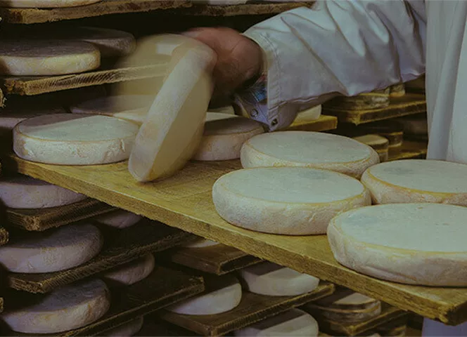 atelier d'affinage fromage