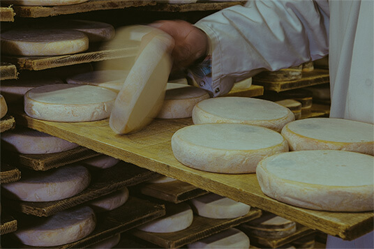 atelier d'affinage fromage