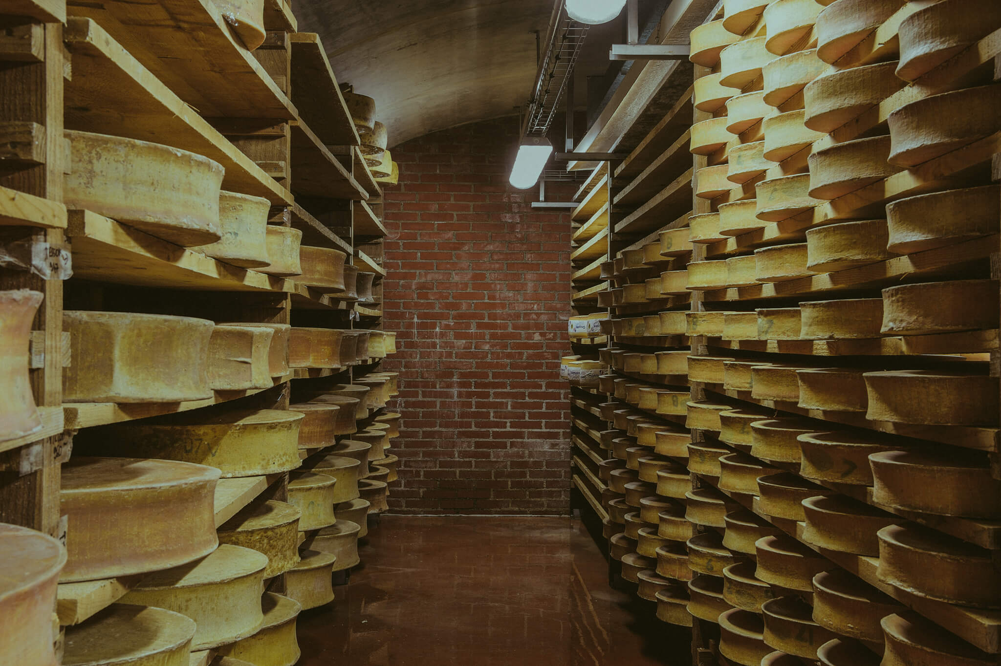 tomes de fromage à raclette