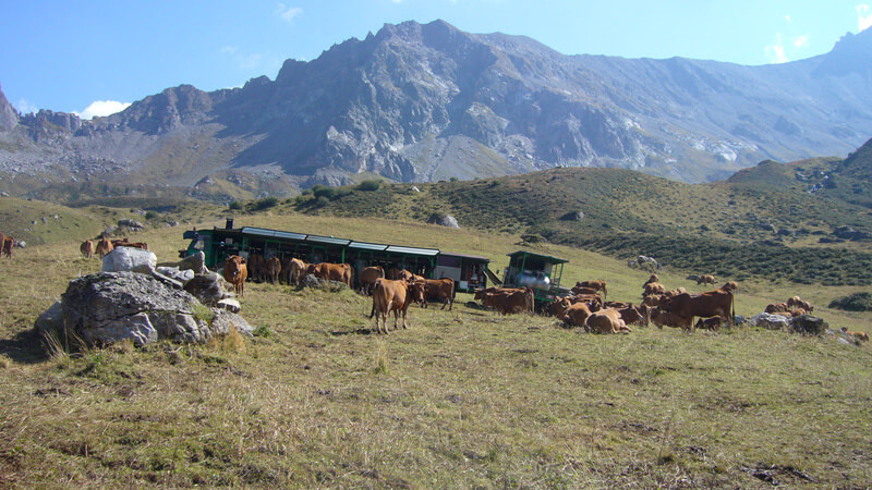 alpage de Savoie