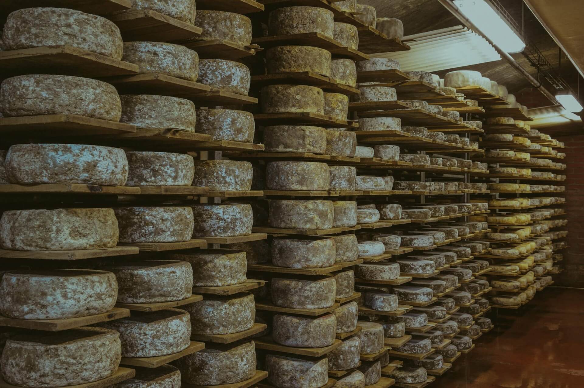 La tomme de Savoie