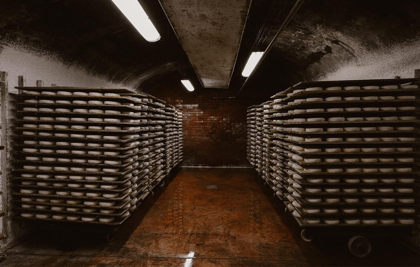 Cave d’affinage en Savoie – L’excellence de l’affinage artisanal