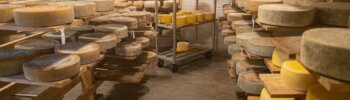 fromages les plus protéinés