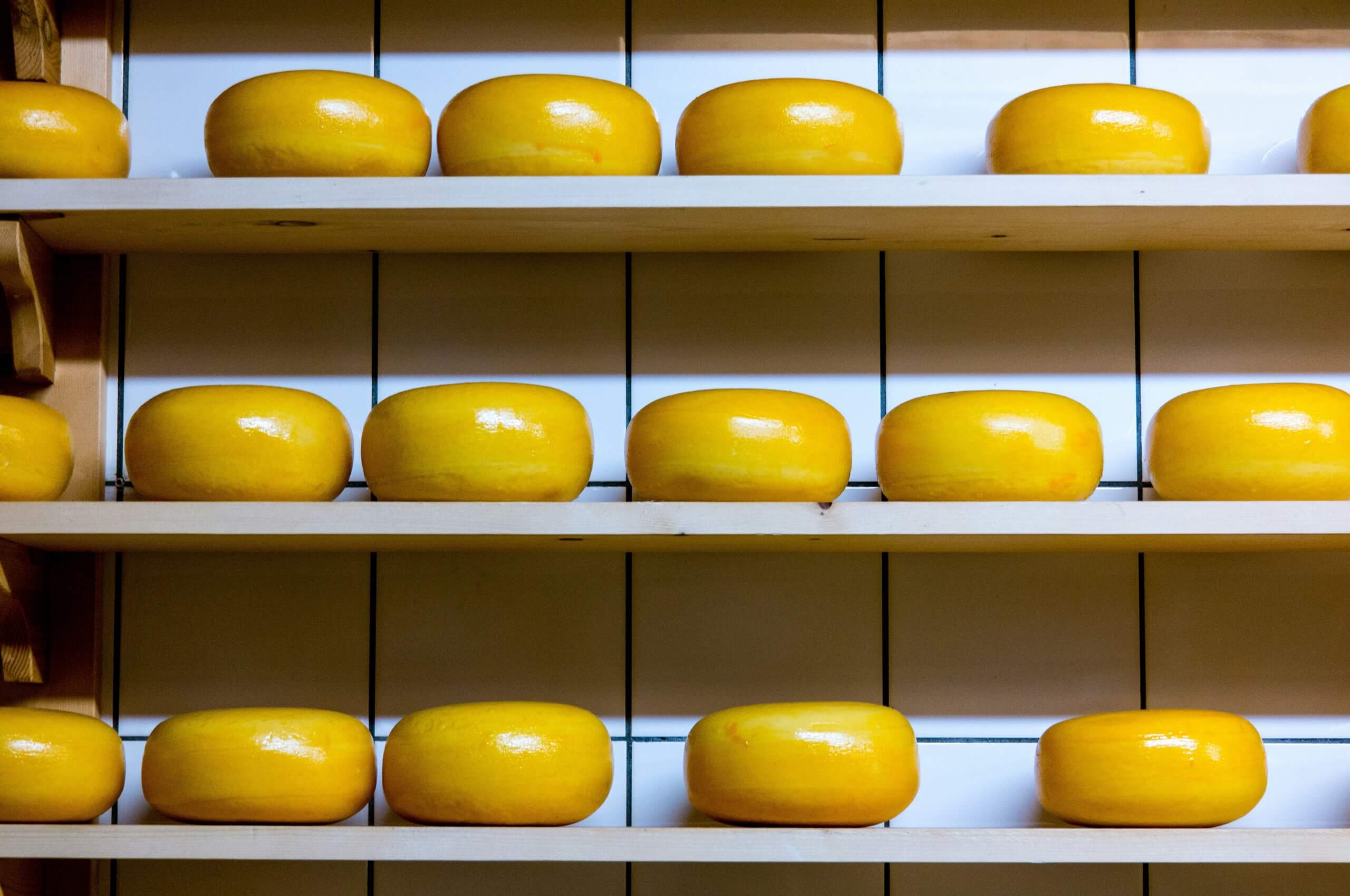 gouda protéines